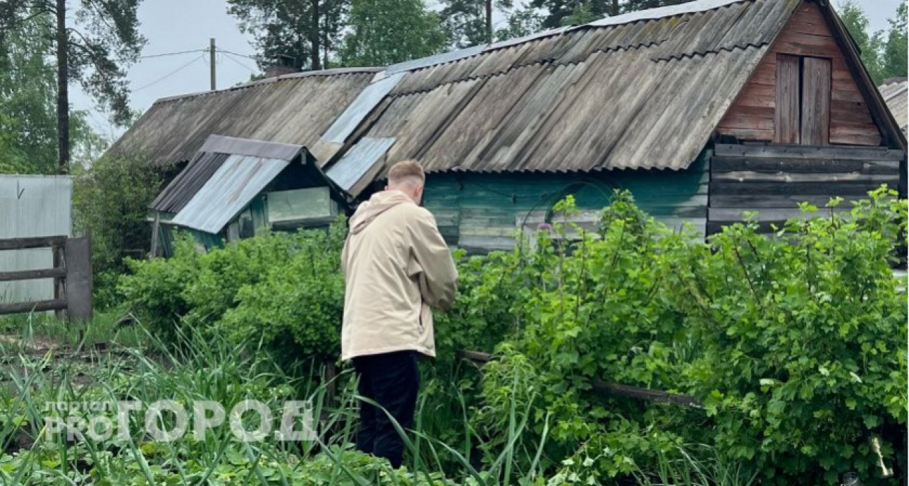 Рыхлые грядки: вместо тонны компоста и удобрений сыплю 1 ложку муки