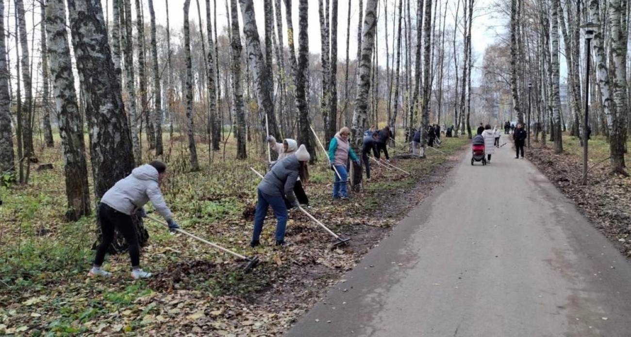    Двести ярославцев вышли на субботник в Павловской роще: "А где подрядчик?"