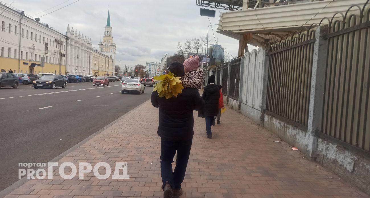 Синоптики обещают в Ярославле метель с гололедицей и падением деревьев: "Приходит мерзкая осенняя погода"