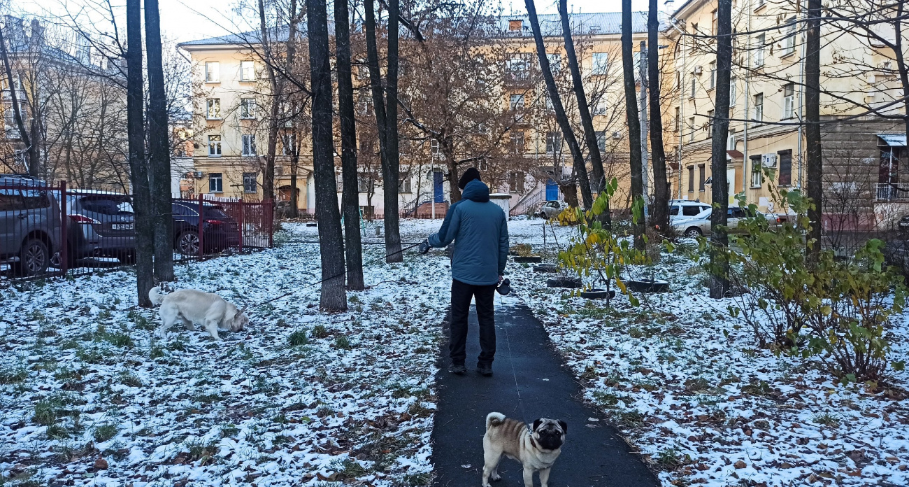 Снежный апокалипсис надвигается: города уйдут под снег за считанные часы