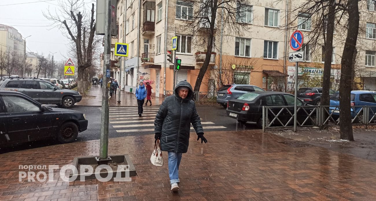 К выходным в Ярославле пройдет ледяной дождь и резко потеплеет