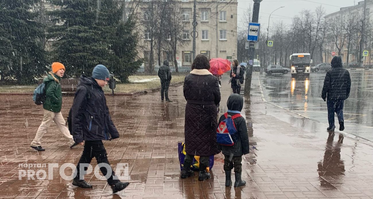  В Ярославль приходит аномальное тепло