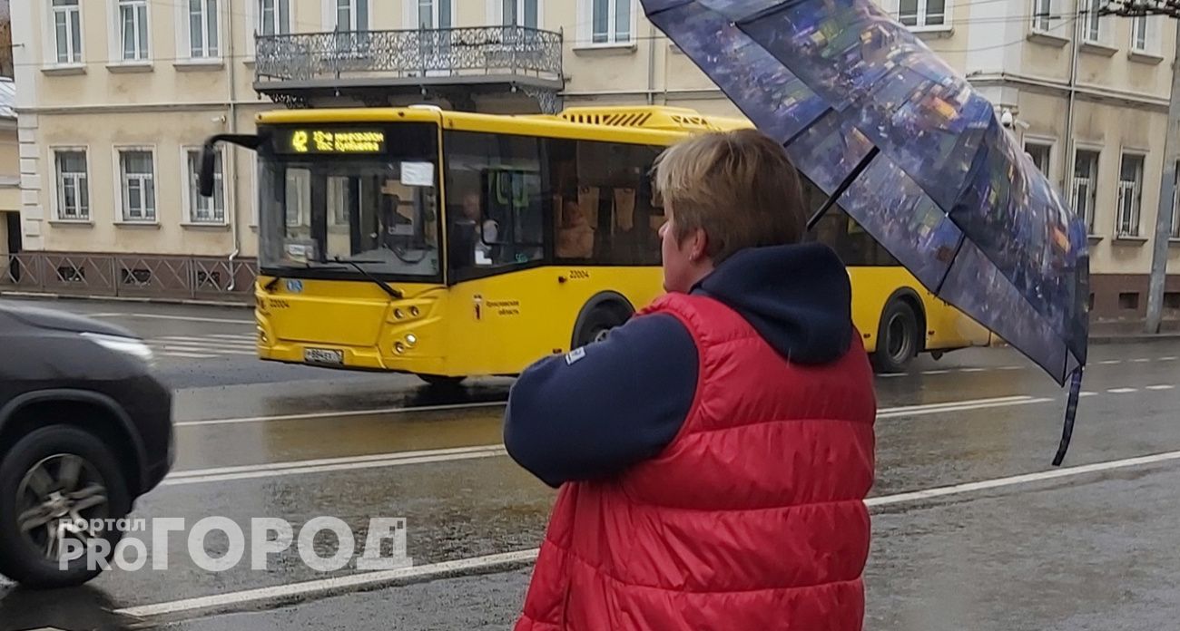 Ярославцы вынуждены штурмовать брагинские автобусы