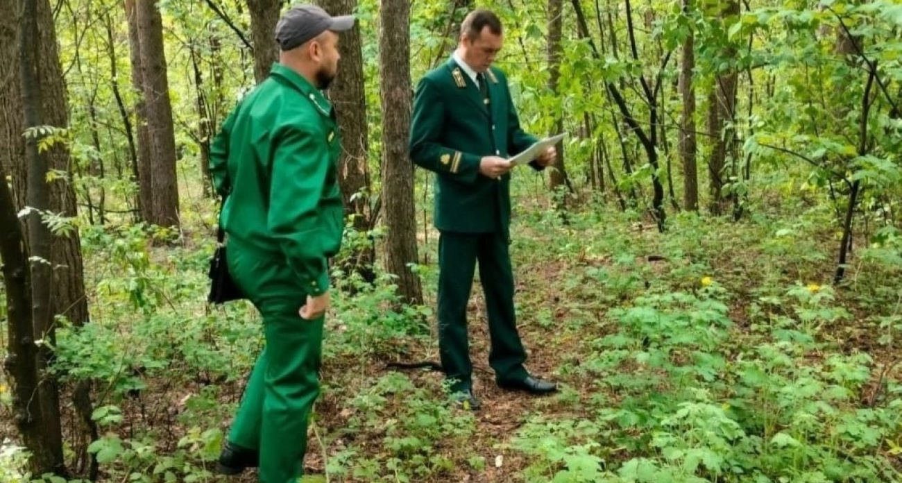 Ярославцев оштрафовали на 2 миллиона за нарушение законов леса