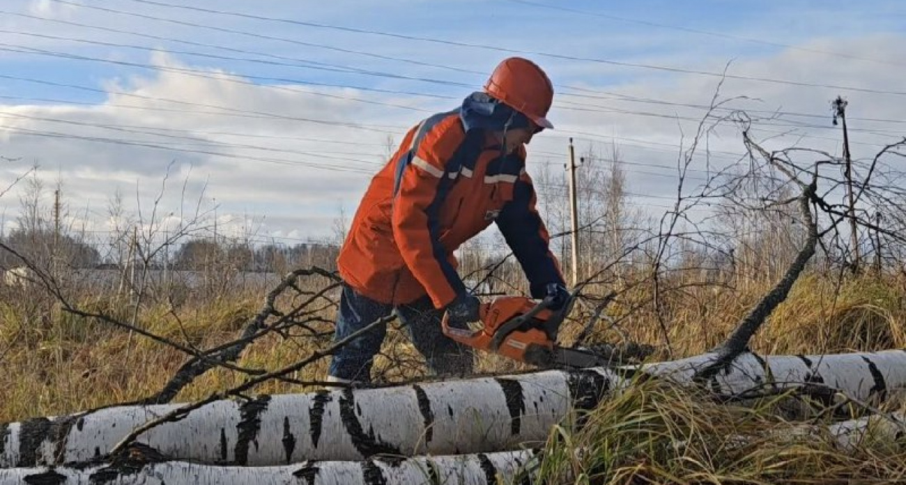 В Ярославской области обнаружено более 120 обрывов электросетей