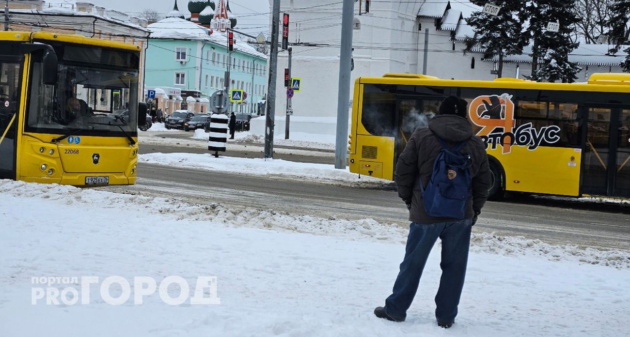 Ярославцы остались без транспорта : "Сейчас проезжает только автобус №49"