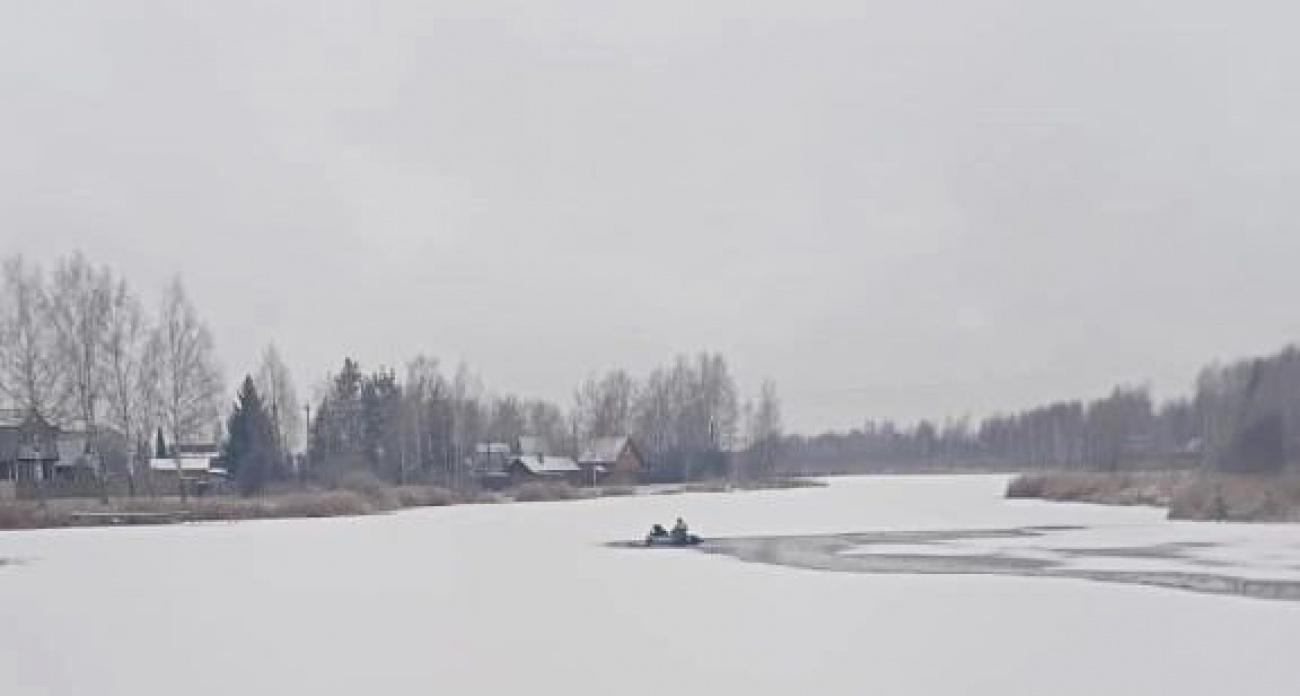 Ярославцы спасли  из ледяного плена собаку 