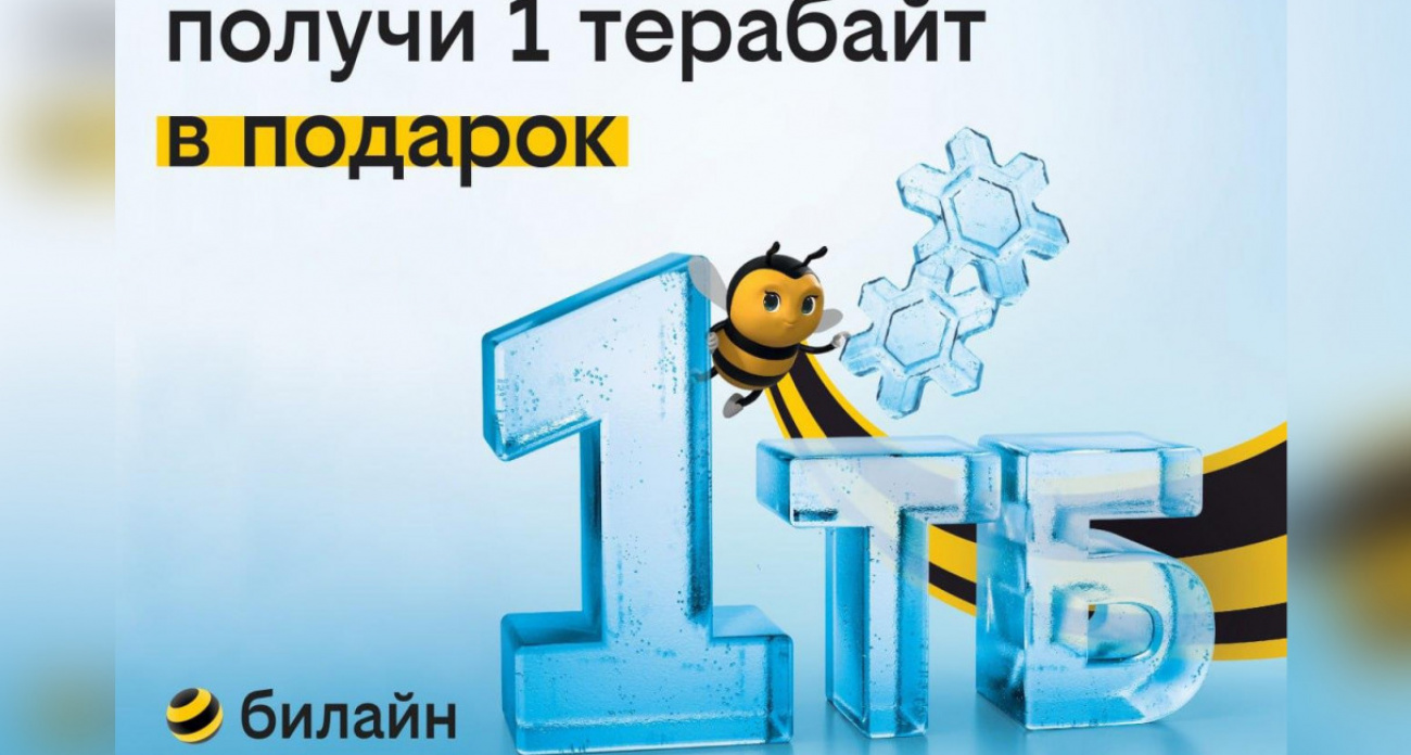 1 терабайт для всех: билайн дарит возможность забыть о трафике на целый год