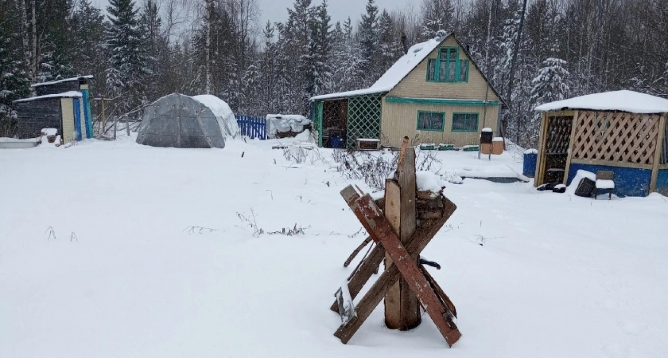 Суровое правило с 14 декабря: всем собственникам земельных участков грозит изъятие