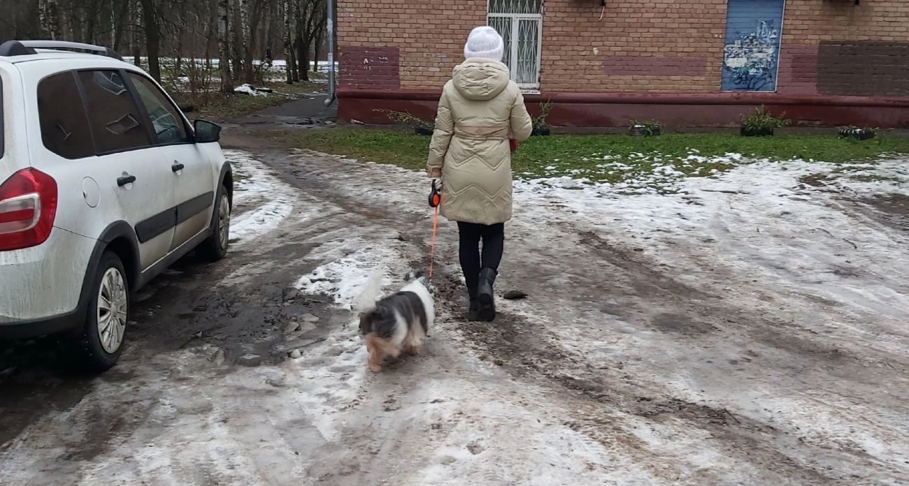 В Ярославле фонари бьют детей и собак током 