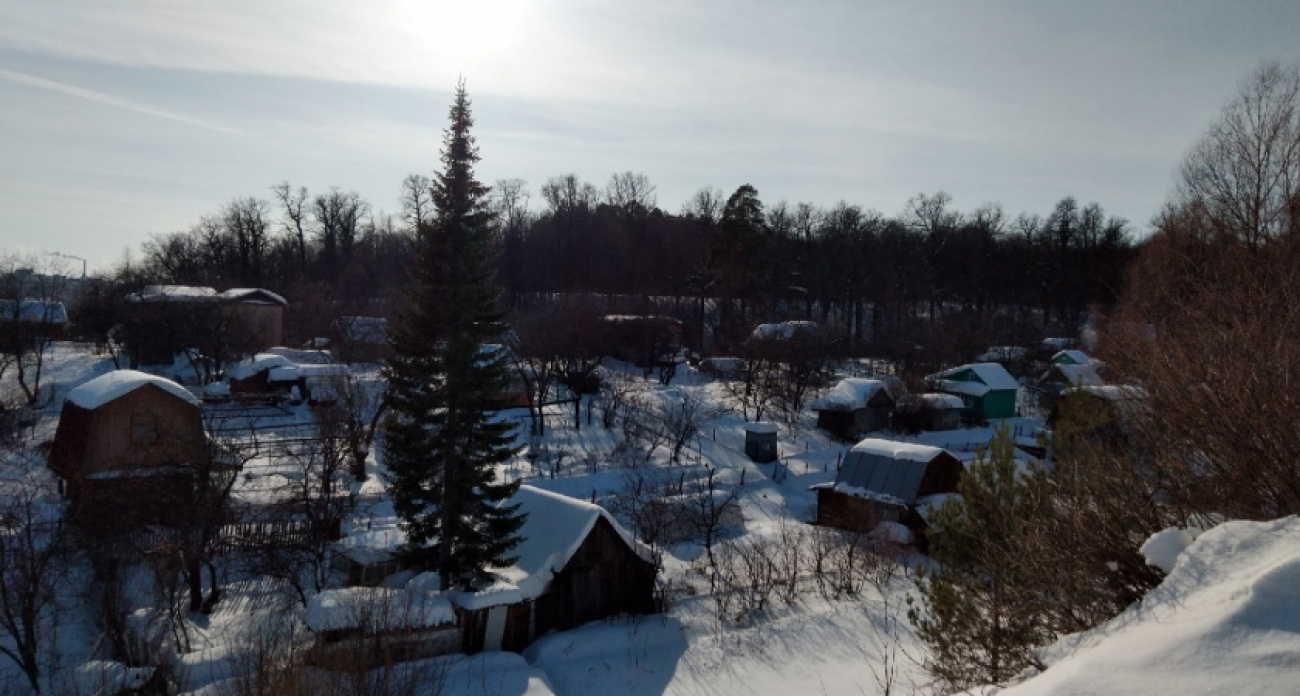 Суровое правило с 25 декабря: всем собственникам земельных участков грозит изъятие