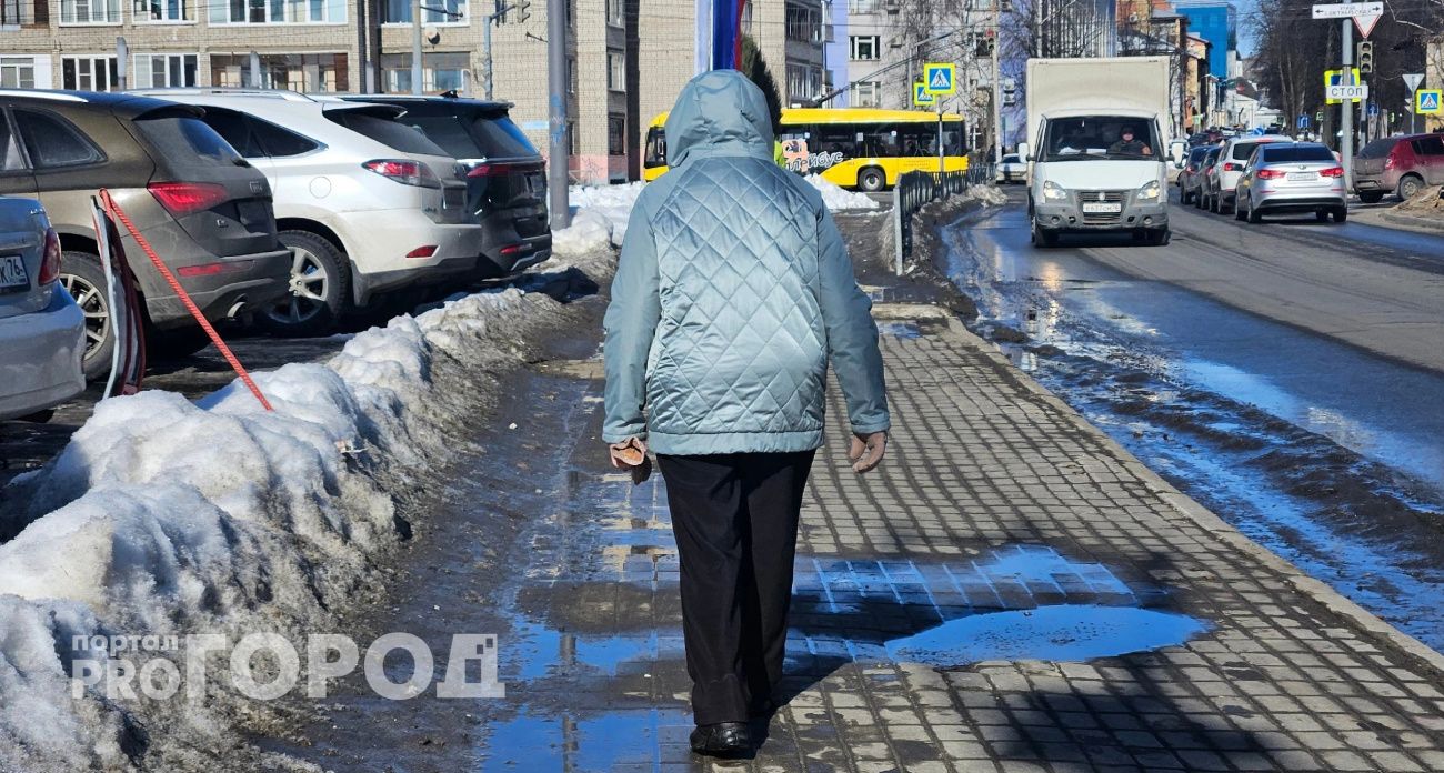 Ярославцы предложили включить США в состав России