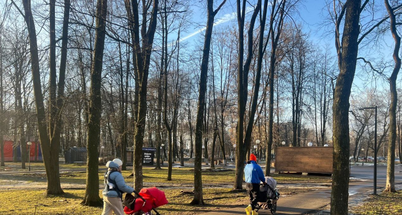 Февраль в Ярославле будет бесснежным