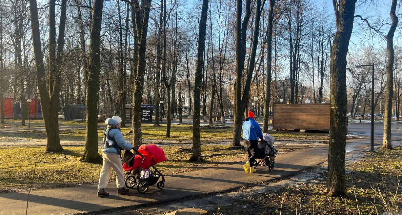 Ярославль: лисички в лесах и запуск трамвая!