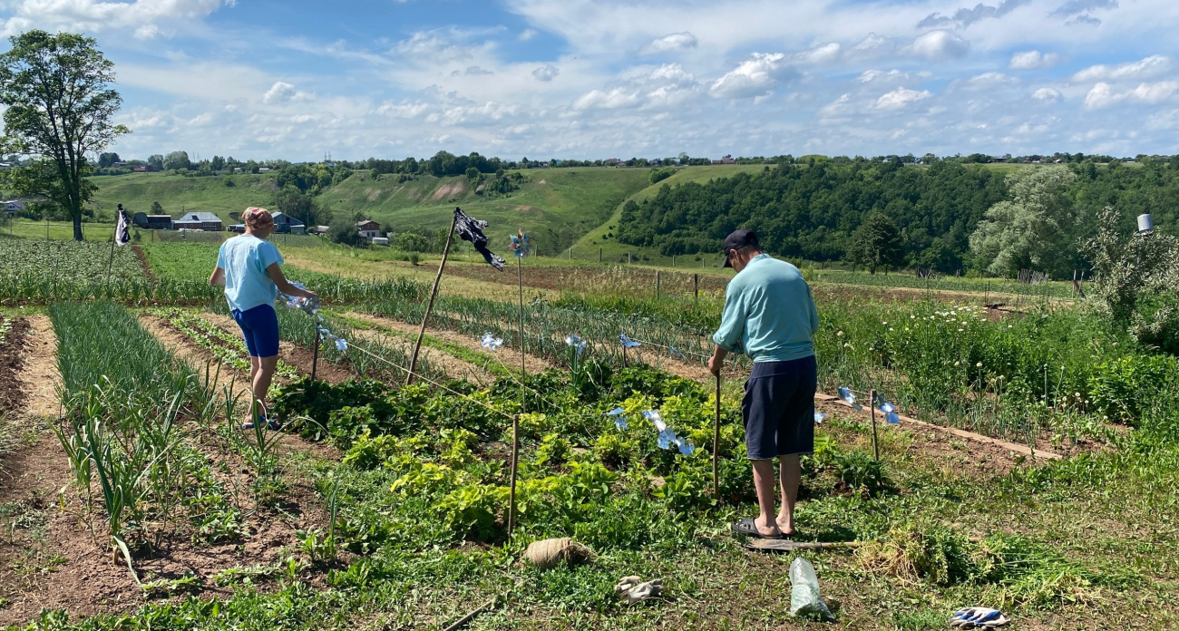 Назойливые сорняки даже не ступят на огород: ушлые дачники заготавливают это средство уже сейчас