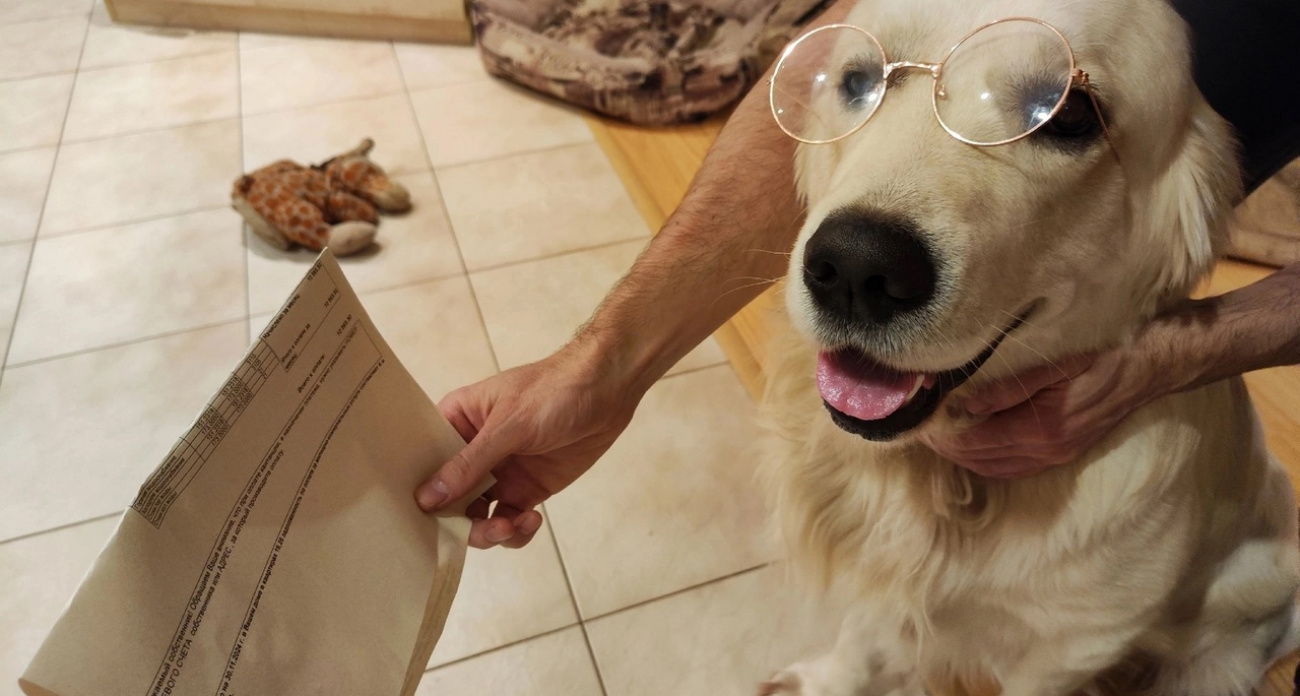 Ярославль: Смерть в пекарне и трагедия на СВО.  Главные новости за 19 февраля