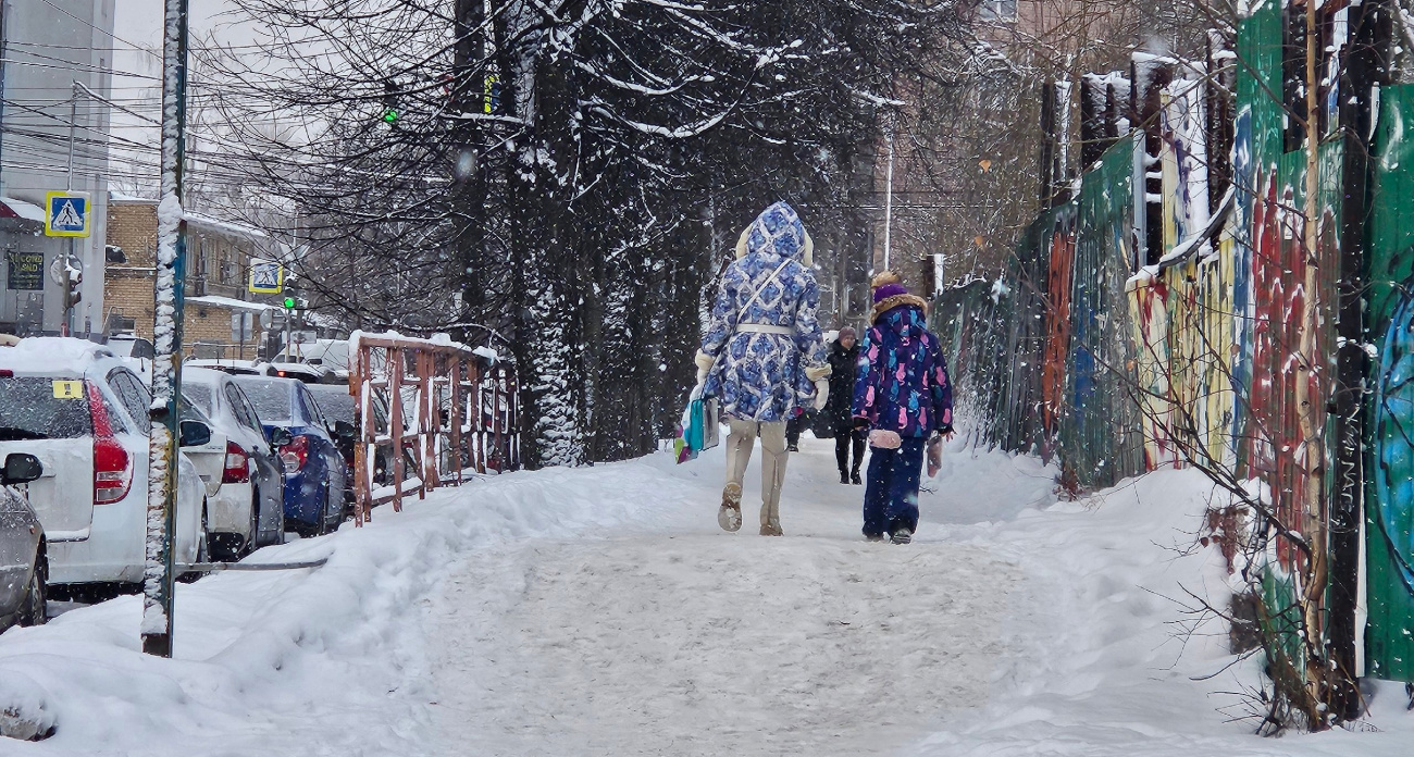 Ярославль: налоги на собак и проверка гречки — главные новости за 20 февраля