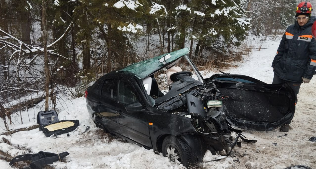  Пятилетний мальчик умер в больнице после ДТП под Туношной