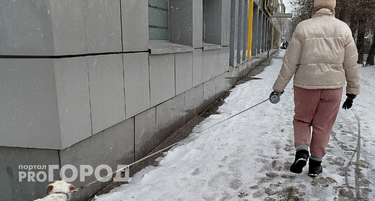 В Угличе женщина подарила подруге бракованную собаку, а потом решила отобрать ее