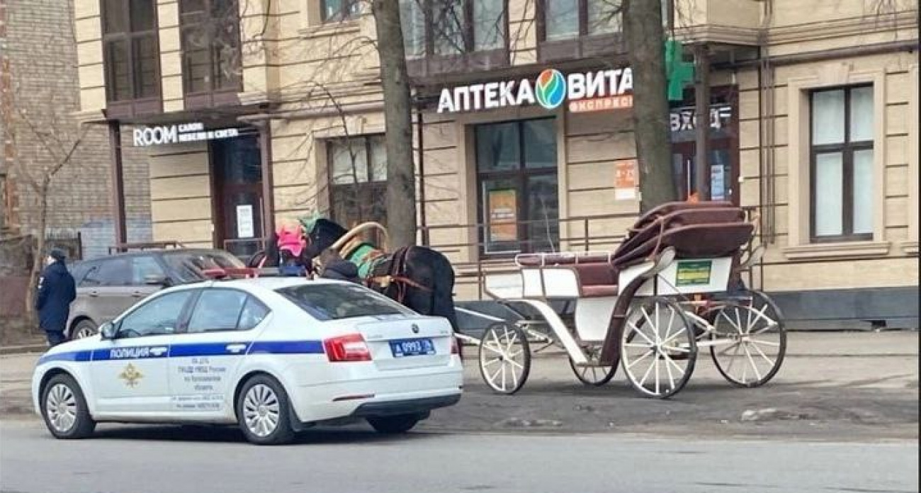 В Ярославле задержали кучера-нарушителя