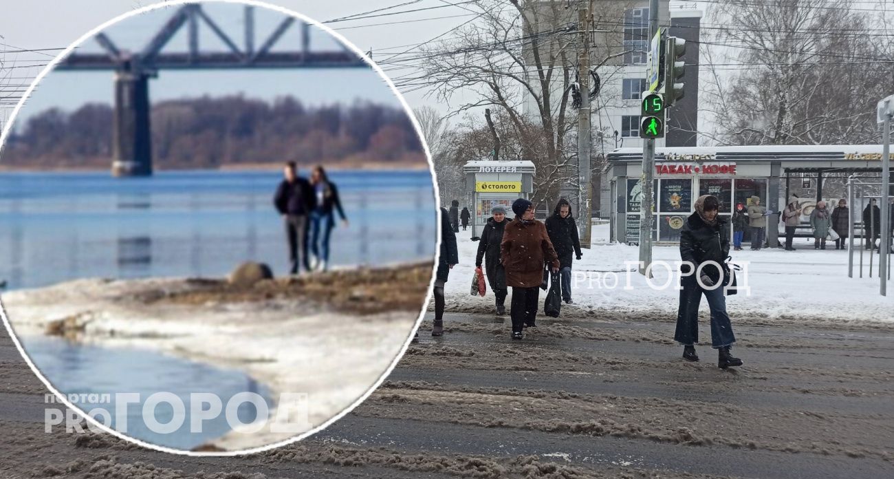 Пополнит ли аномальный снегопад обмелевшую Волгу в Ярославле и спасет ли от токсинов