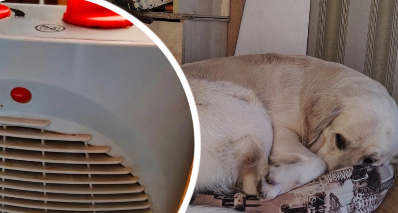 Ярославцы начали замерзать без отопления: "Начинаю день с нагрева комнаты."