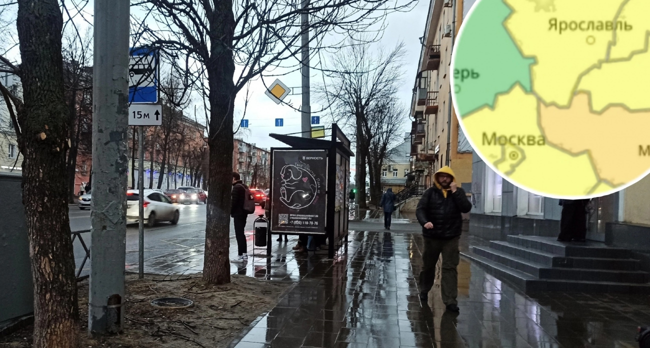 На Ярославскую область обрушится штормовой ветер