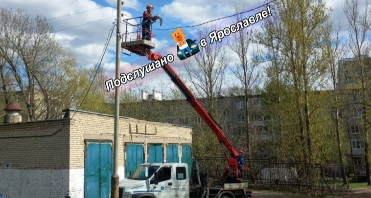 В Ярославле развернулась операция по спасению застрявшей на фонарном столбе чайки