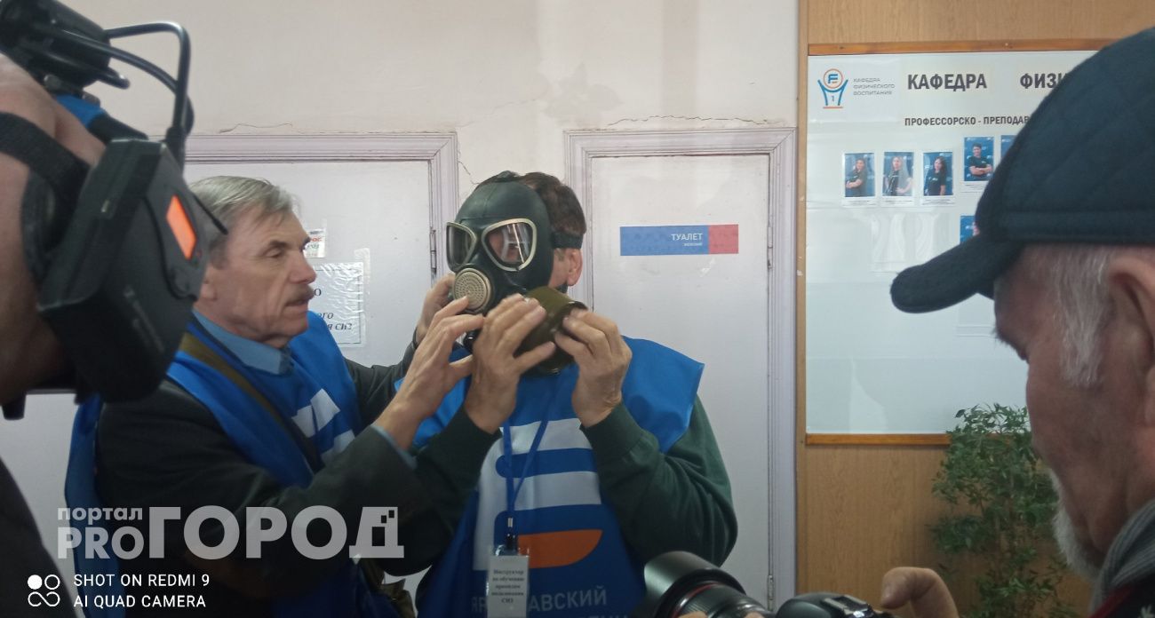 Сущий кошмар с 6 мая: Ярославскую область накроет огромным количеством берёзовой пыльцы