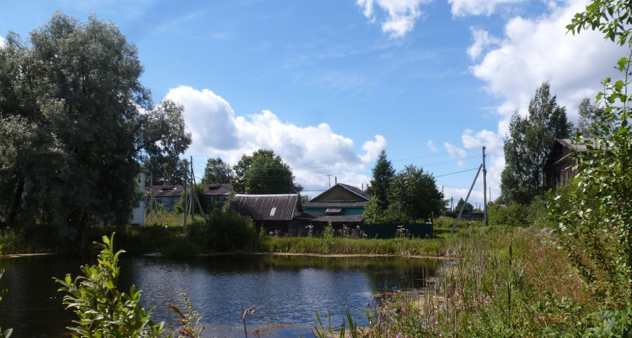 Как живет самая большая ярославская деревня: за несколько лет расплодилась с 290 до 5000 жителей