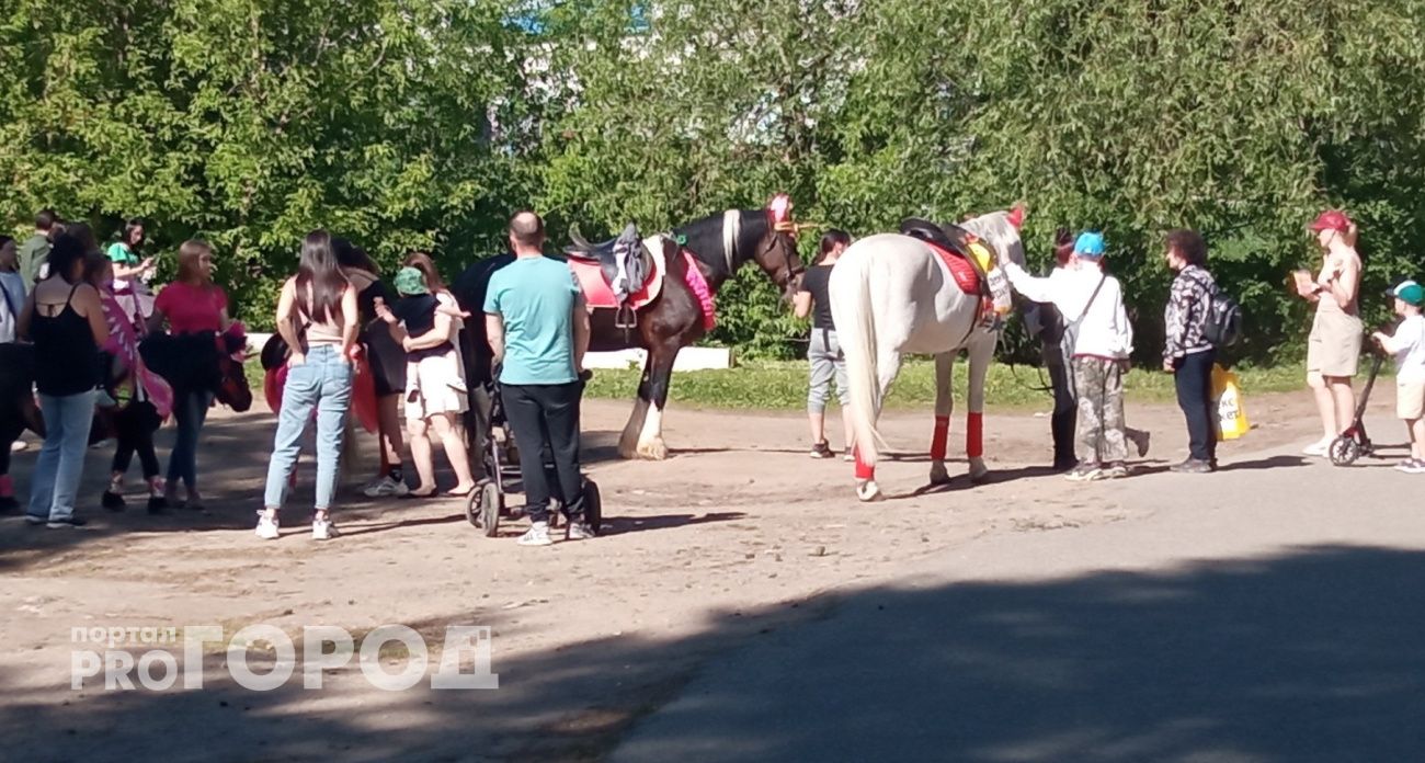 Взрослых развлечений в детских парках требуют ярославцы