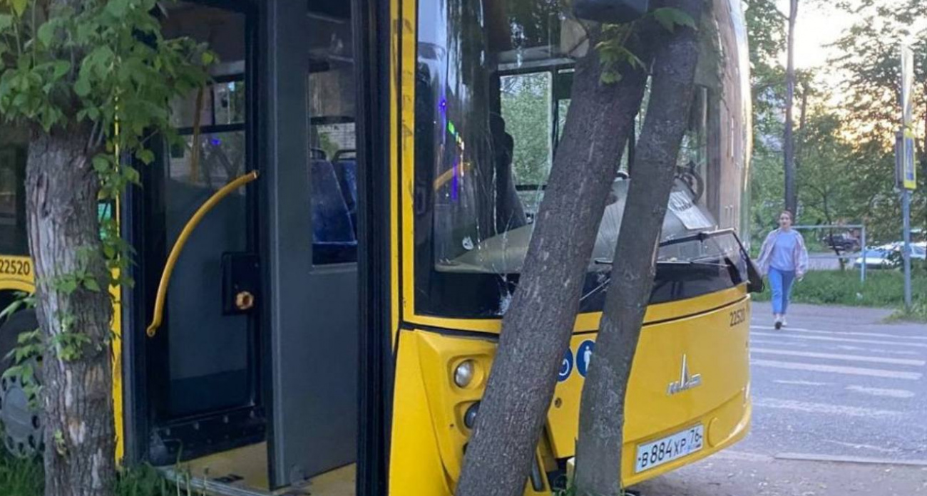 В Ярославле водитель автобуса влетел в дерево, отключившись от жары