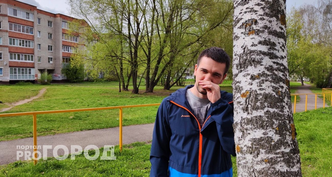 На Ярославль надвигается "тополиная метель" 