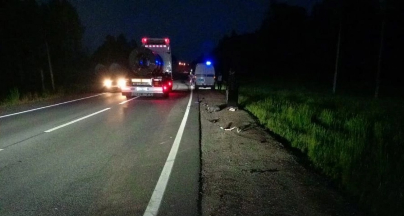 Ярославна погибла в прицепе мотоблока в ДТП в Даниловском районе