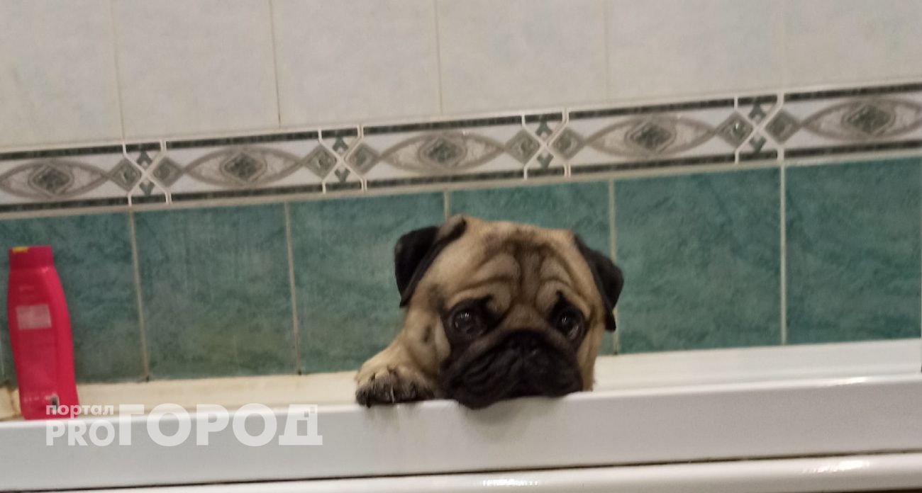 Грязь в этом месте сведет в могилу: врач назвал часть тела, которую вы не моете