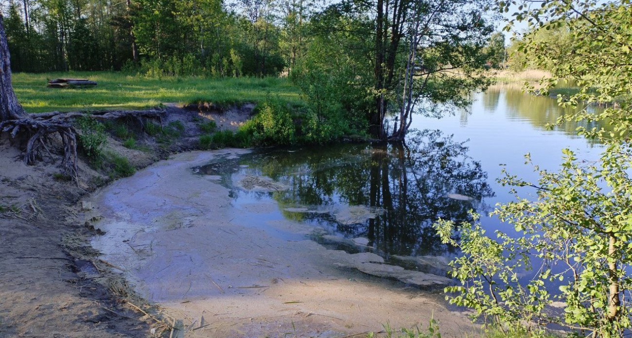 В Переславле Плещеево озеро покрылось странной пленкой: "стоит ужасная вонь"