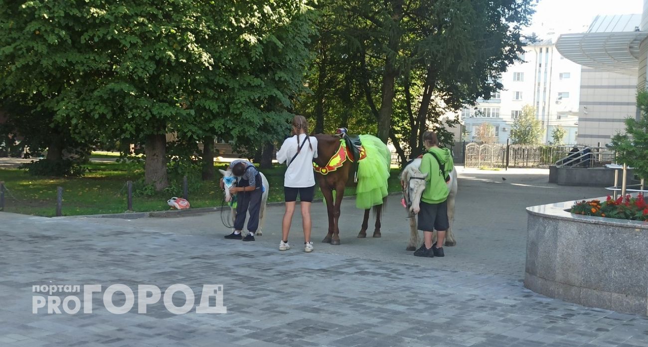 Мэрия объявила бой катающим детей лошадям