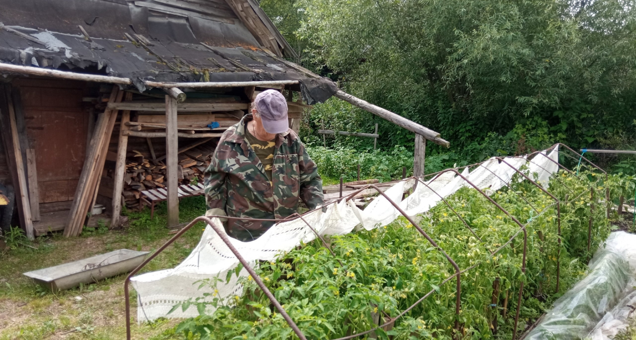 Советская хитрость оживляет землю: 1 ложка сахара на ведро, и овощи растут как на дрожжах