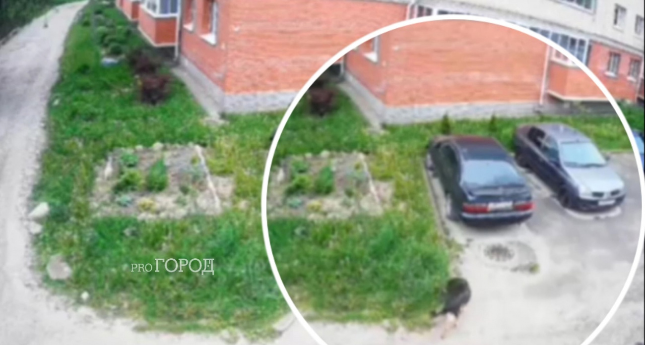 В Брагино маму с ребёнком покусала агрессивная собака