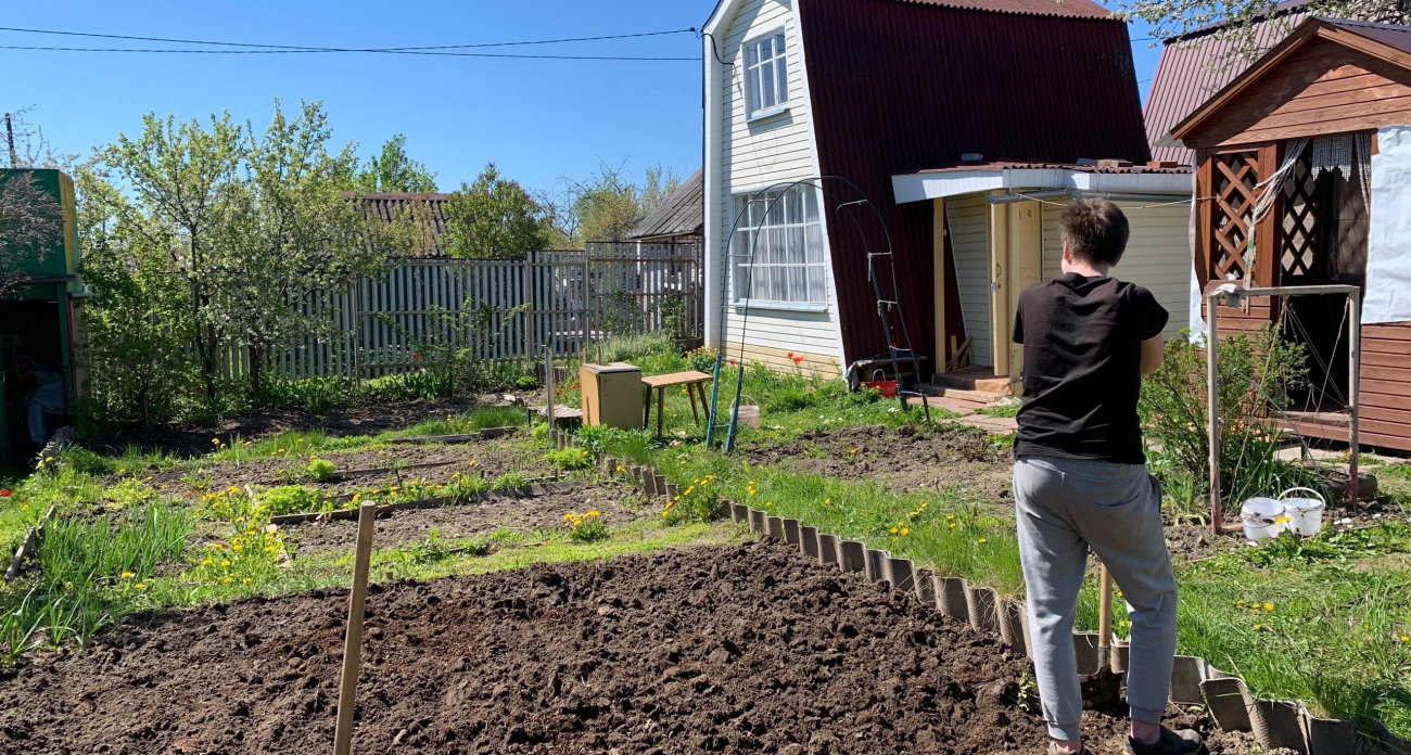 Эта крупа заменяет тонны навоза: владельцы дач раскрыли секрет идеальной почвы