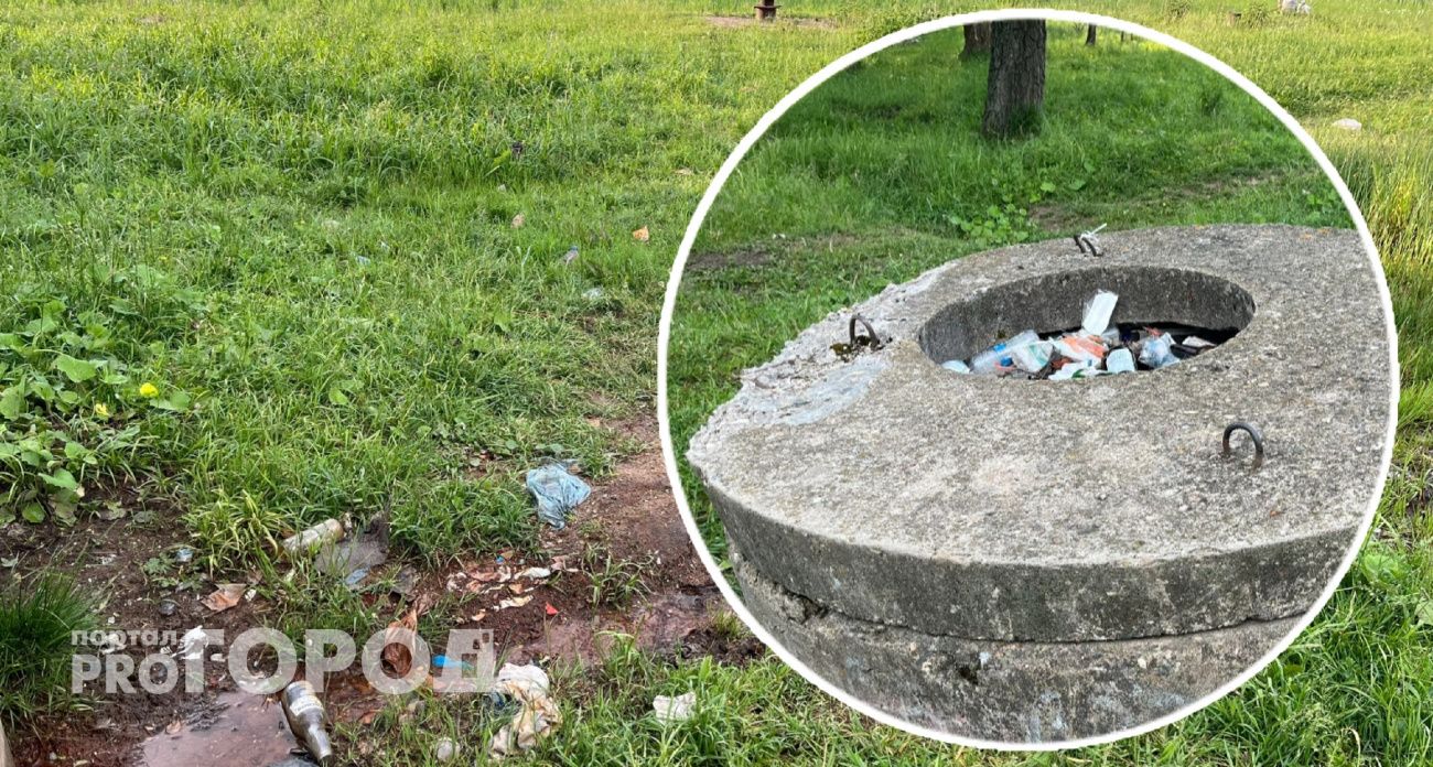 Любимый парк ярославцев превращают в помойку