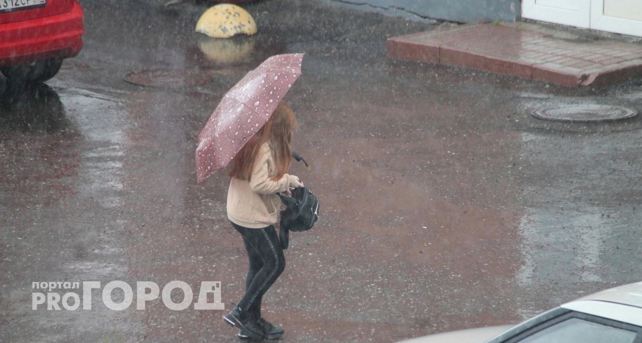 Грозы и ураган резко ворвутся в Ярославль и испортят выходные