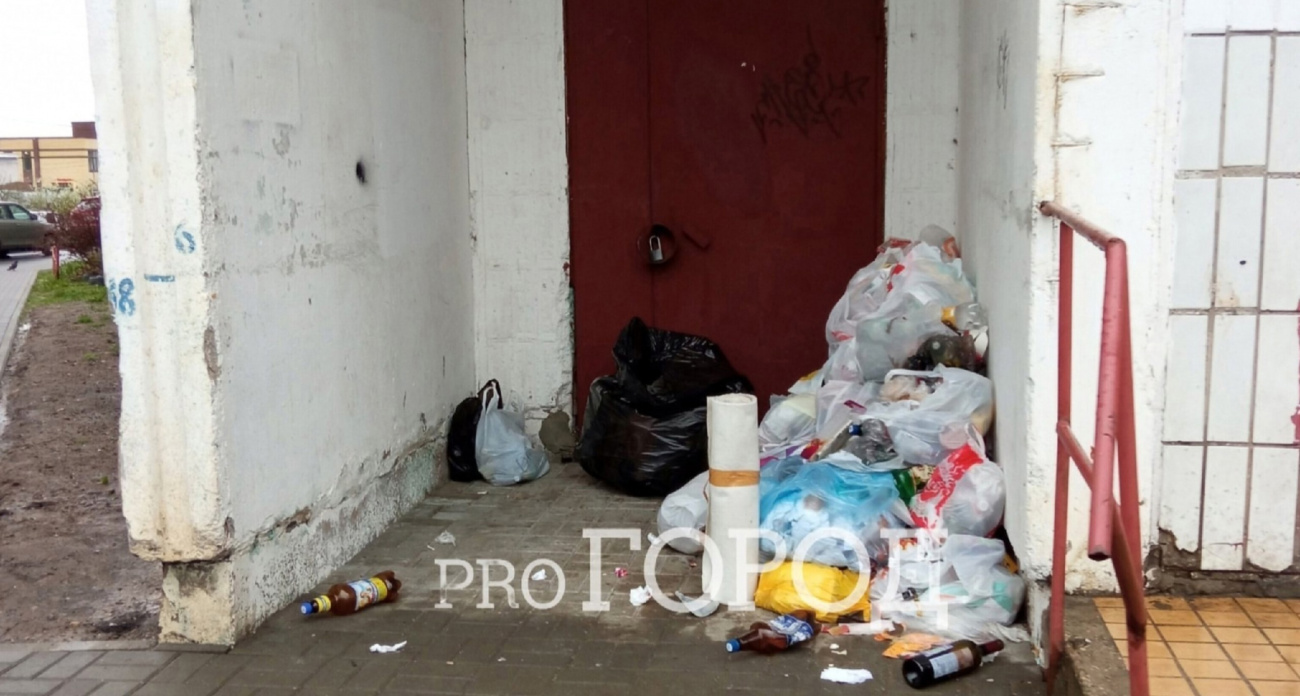 Ярославцы предложили ввести исправительные работы за мусор