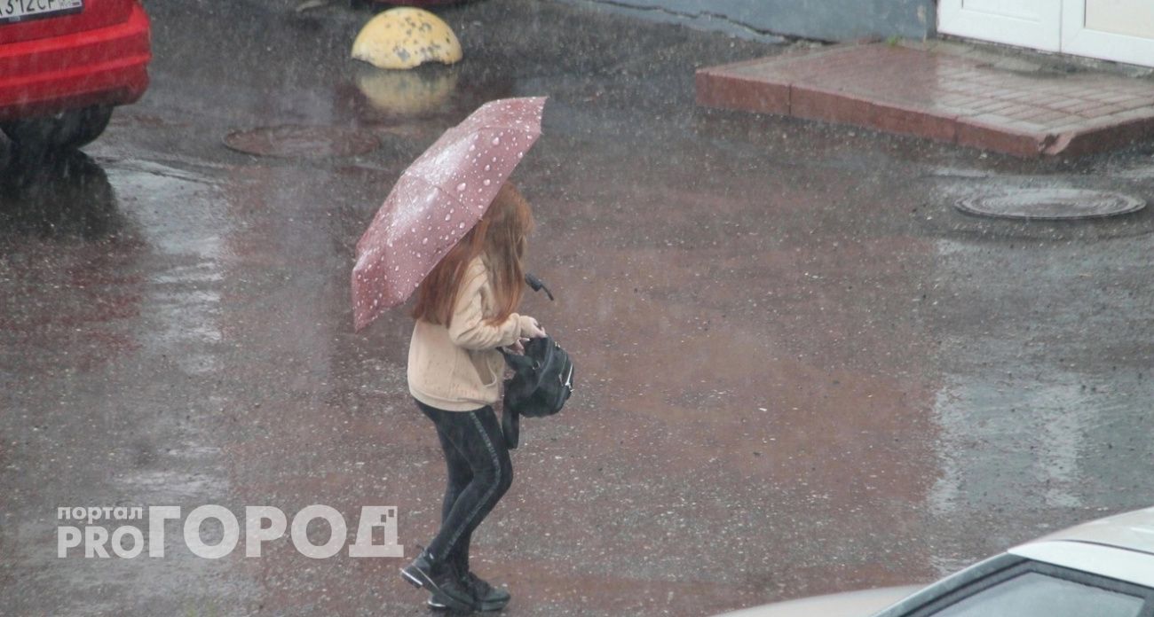 Гроза, ливень и штормовой ветер резко обрушатся на Ярославль