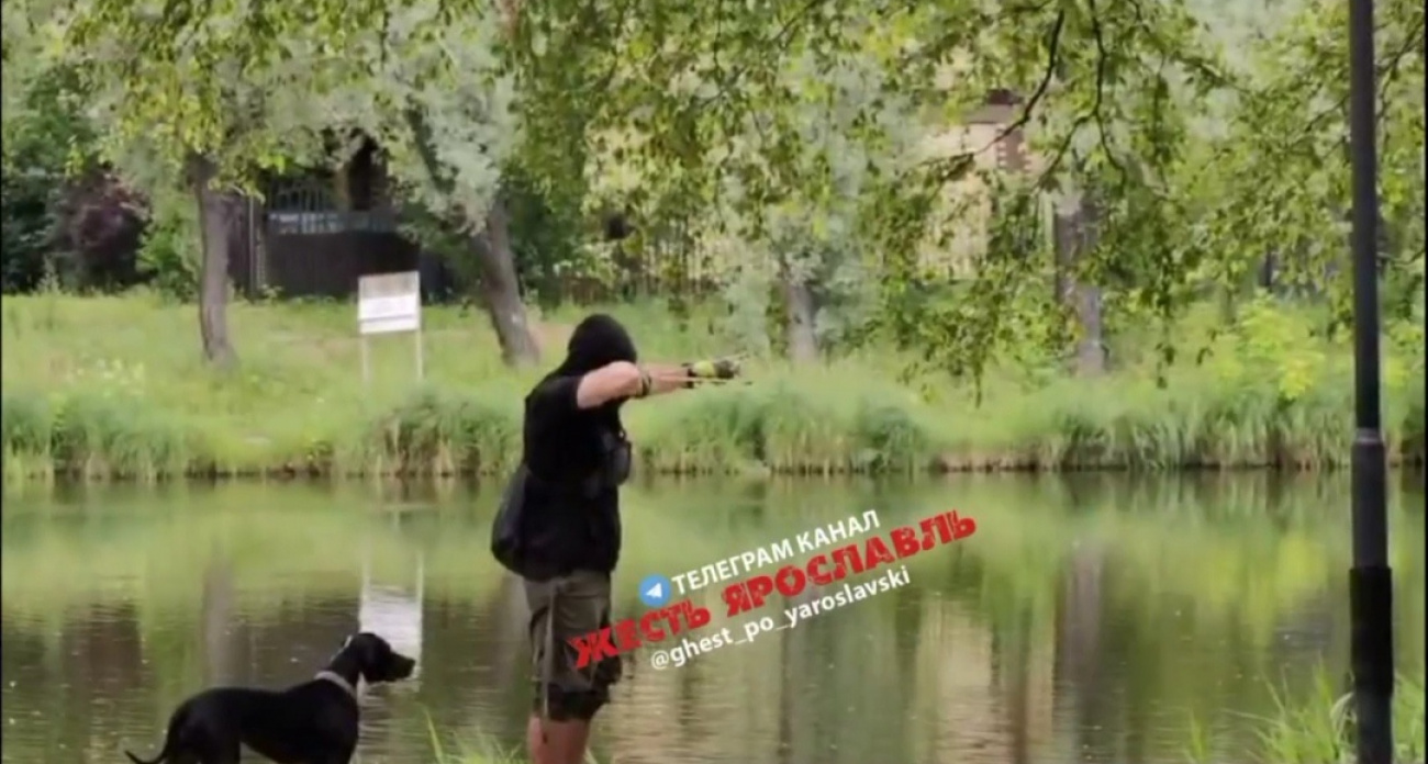 Жители Ярославля начали отстреливать уток прямо в парках