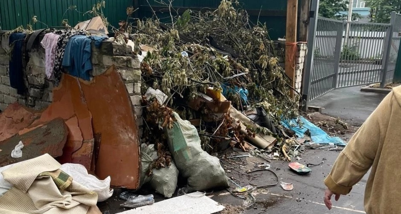    Крысы выживают жителей Ярославля: "Живем практически на помойке"