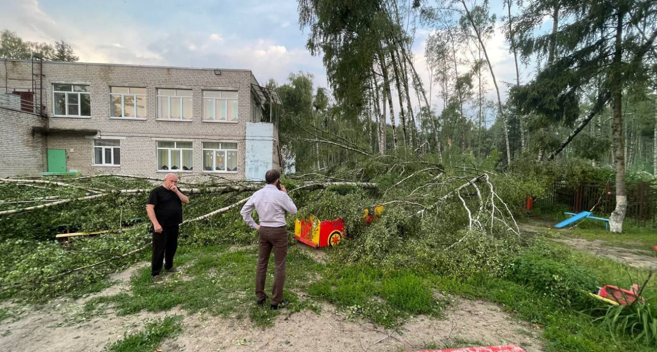 В Ярославском районе из-за урагана закрыто 8 детских садов 