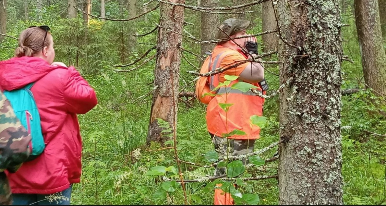 Пропавшую в Ярославской области пенсионерку ищут авиацией
