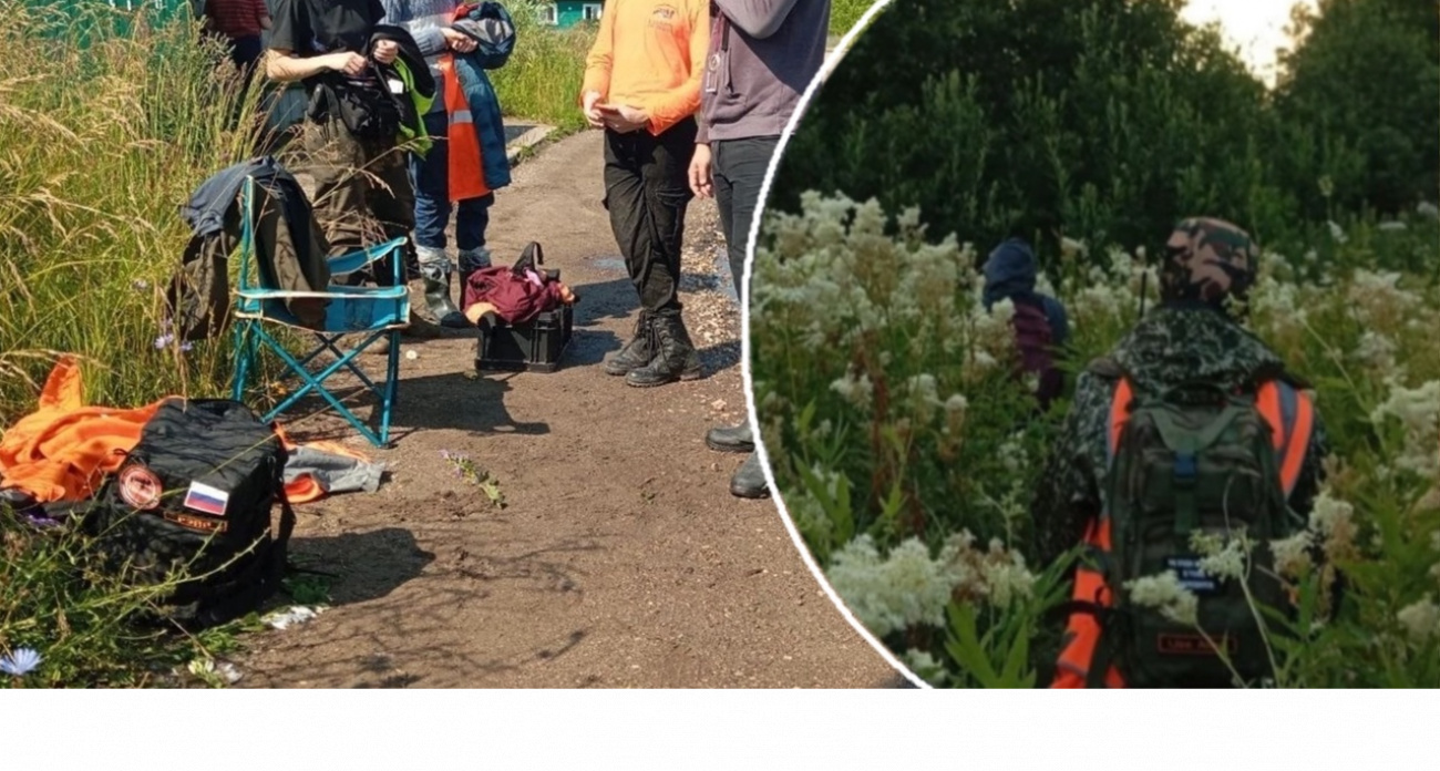 В обломках деревьев находили лишь куски одежды: бабушка из Ярославля выживала в лесу 8 дней