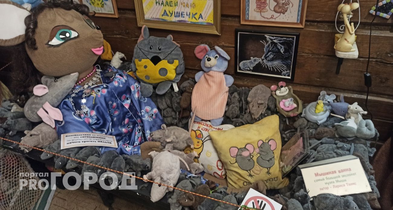 Ванна из мышей и 13 тысяч грызунов: единственный в мире музей мышей находится в ярославской глубинке